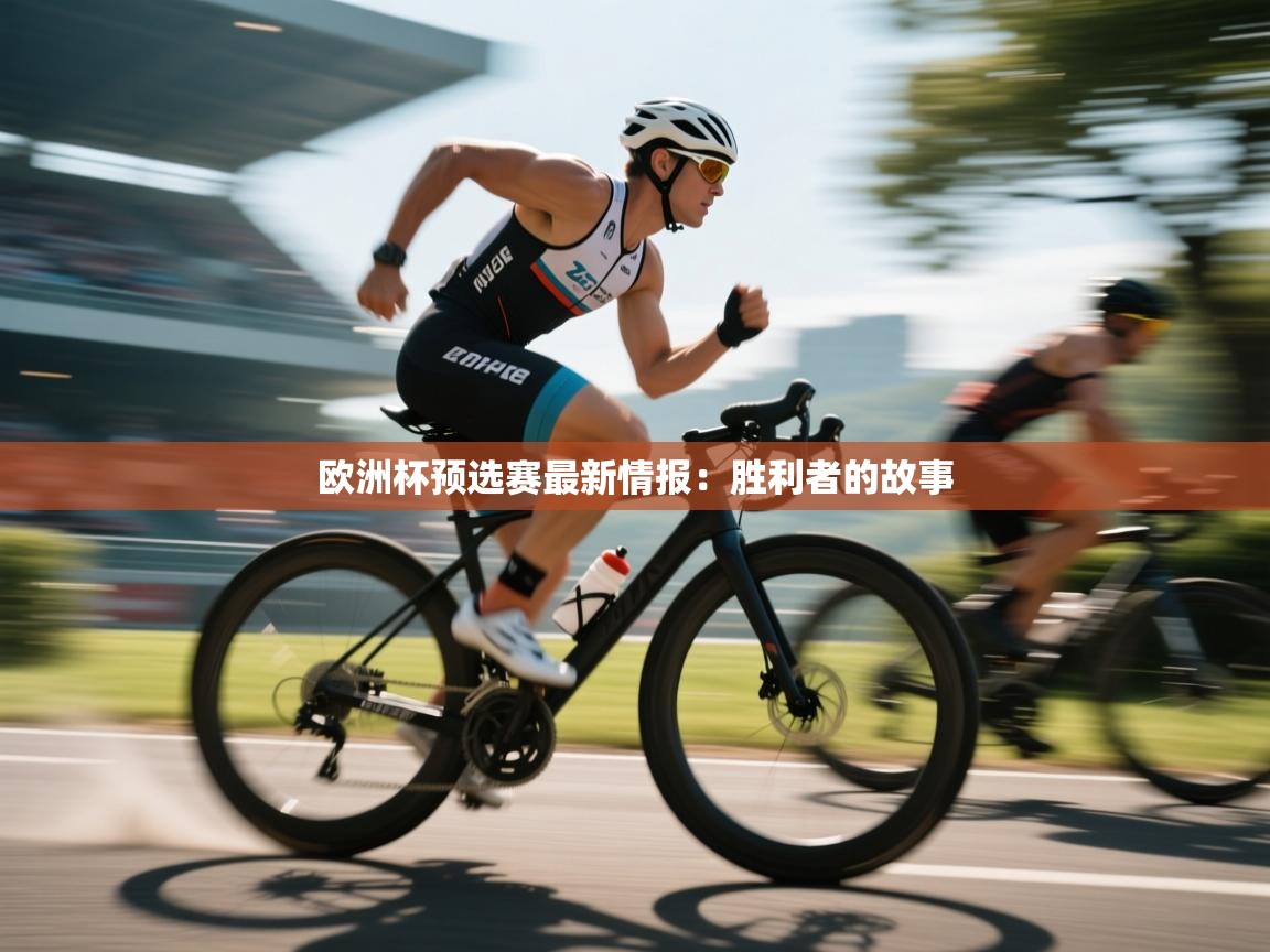 欧洲杯预选赛最新情报：胜利者的故事  第2张